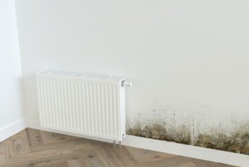 How to Identify and Treat Rising Damp