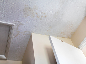 damp proofing company