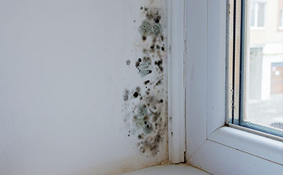 Croft Building Works