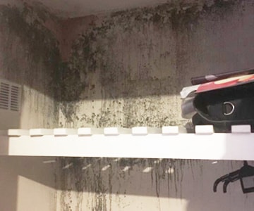mould in cupboard caused by condensation